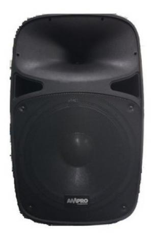 AMPRO PARLANTE CAJA 12